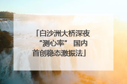 白沙洲大桥深夜“测心率” 国内首创稳态激振法