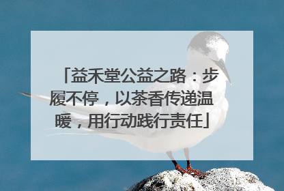 益禾堂公益之路：步履不停，以茶香传递温暖，用行动践行责任