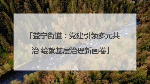 益宁街道：党建引领多元共治 绘就基层治理新画卷