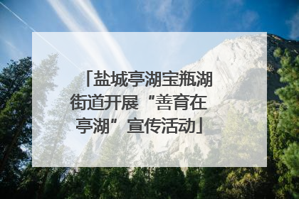 盐城亭湖宝瓶湖街道开展“善育在亭湖”宣传活动