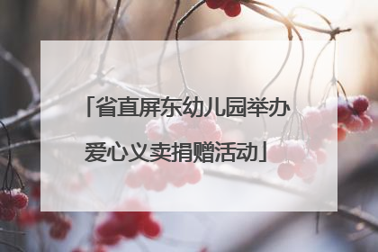 省直屏东幼儿园举办爱心义卖捐赠活动