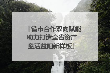 省市合作双向赋能 助力打造全省资产盘活益阳新样板
