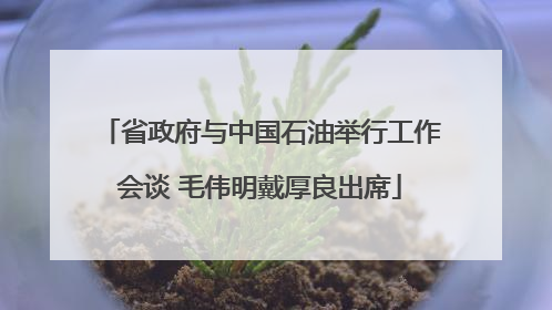 省政府与中国石油举行工作会谈 毛伟明戴厚良出席