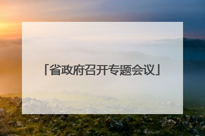 省政府召开专题会议