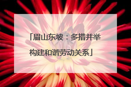 眉山东坡：多措并举构建和谐劳动关系