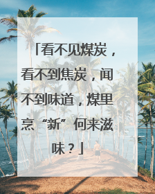 看不见煤炭，看不到焦炭，闻不到味道，煤里烹“新”何来滋味？
