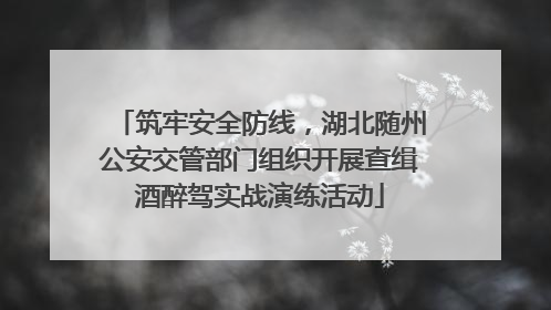 筑牢安全防线，湖北随州公安交管部门组织开展查缉酒醉驾实战演练活动