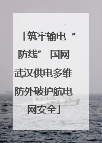 筑牢输电“防线” 国网武汉供电多维防外破护航电网安全