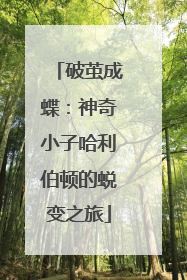 破茧成蝶：神奇小子哈利伯顿的蜕变之旅