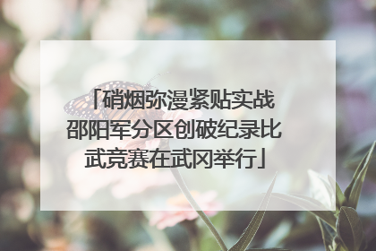 硝烟弥漫紧贴实战 邵阳军分区创破纪录比武竞赛在武冈举行