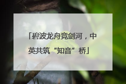 碧波龙舟竞剑河，中英共筑“知音”桥