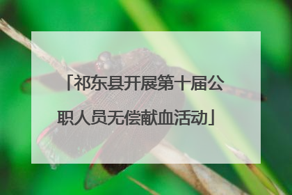 祁东县开展第十届公职人员无偿献血活动