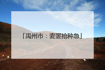 禹州市：麦罢抢种急