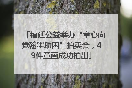 福延公益举办“童心向党翰墨助困”拍卖会，49件童画成功拍出