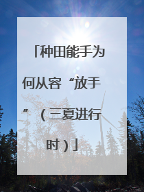 种田能手为何从容“放手”（三夏进行时）