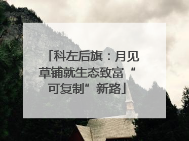 科左后旗：月见草铺就生态致富“可复制”新路