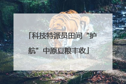 科技特派员田间“护航”中原夏粮丰收