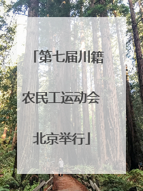 第七届川籍农民工运动会北京举行