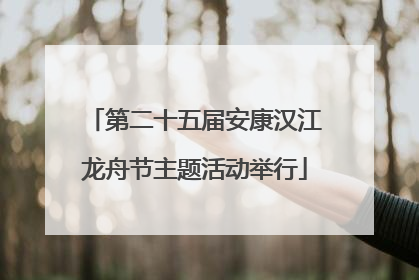第二十五届安康汉江龙舟节主题活动举行