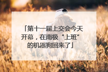 第十一届上交会今天开幕，在南极“上班”的机器狗回来了