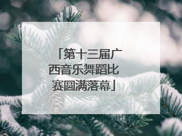 第十三届广西音乐舞蹈比赛圆满落幕