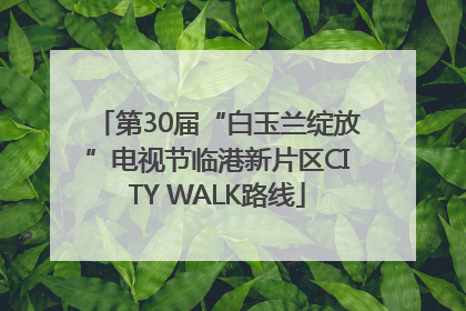 第30届“白玉兰绽放”电视节临港新片区CITY WALK路线