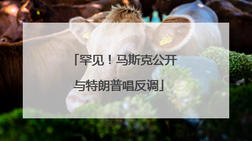 罕见！马斯克公开与特朗普唱反调