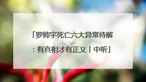 罗帅宇死亡六大异常待解：有真相才有正义丨中听