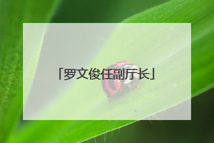 罗文俊任副厅长