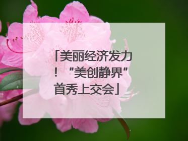 美丽经济发力！“美创静界”首秀上交会