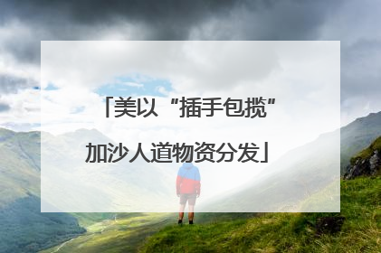 美以“插手包揽”加沙人道物资分发