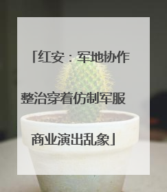 红安：军地协作整治穿着仿制军服商业演出乱象