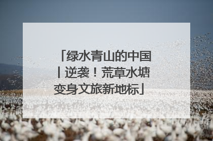 绿水青山的中国丨逆袭！荒草水塘变身文旅新地标