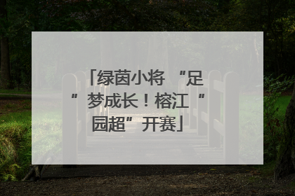 绿茵小将 “足”梦成长！榕江“园超”开赛
