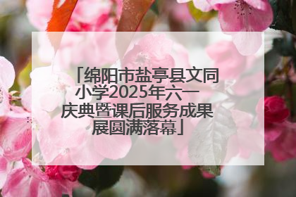 绵阳市盐亭县文同小学2025年六一庆典暨课后服务成果展圆满落幕