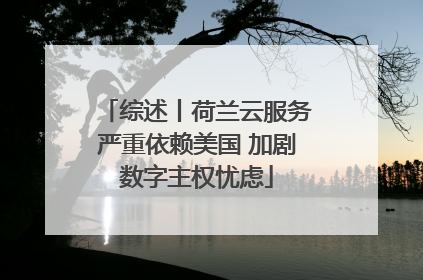 综述丨荷兰云服务严重依赖美国 加剧数字主权忧虑
