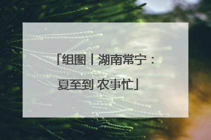 组图丨湖南常宁：夏至到 农事忙