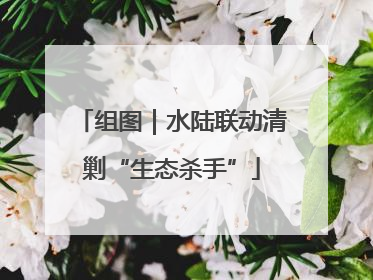 组图｜水陆联动清剿“生态杀手”