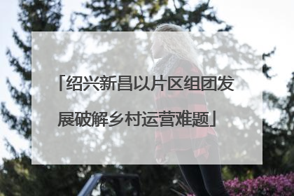 绍兴新昌以片区组团发展破解乡村运营难题