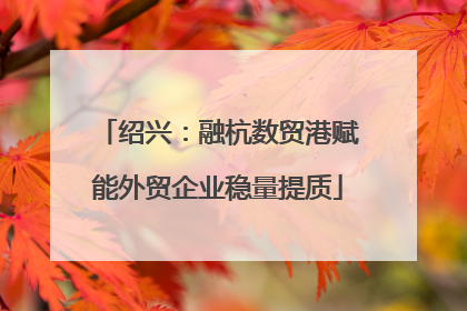 绍兴：融杭数贸港赋能外贸企业稳量提质