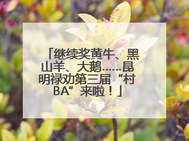 继续奖黄牛、黑山羊、大鹅……昆明禄劝第三届“村BA”来啦！