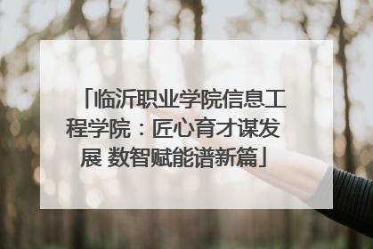 临沂职业学院信息工程学院：匠心育才谋发展 数智赋能谱新篇