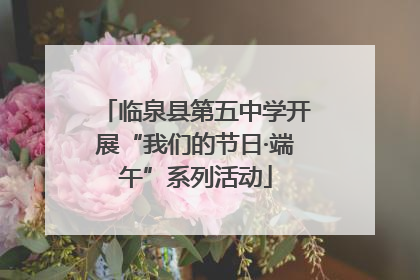 临泉县第五中学开展“我们的节日·端午”系列活动