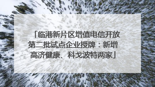 临港新片区增值电信开放第二批试点企业授牌：新增高济健康、科戈波特两家