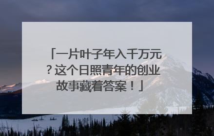 一片叶子年入千万元？这个日照青年的创业故事藏着答案！