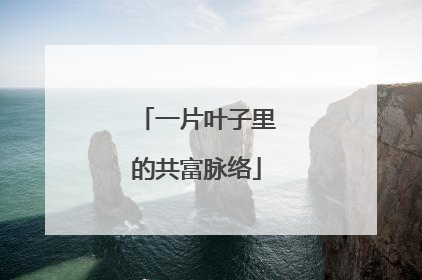 一片叶子里的共富脉络