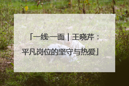 一线·一面｜王晓芹：平凡岗位的坚守与热爱