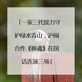一家三代接力守护绿水青山，沪闽合作《树魂》在国话连演三场