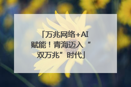 万兆网络+AI赋能！青海迈入“双万兆”时代