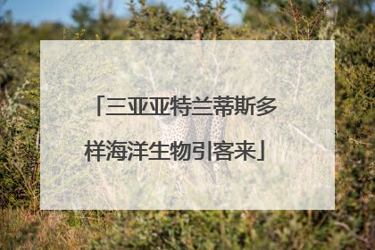 三亚亚特兰蒂斯多样海洋生物引客来